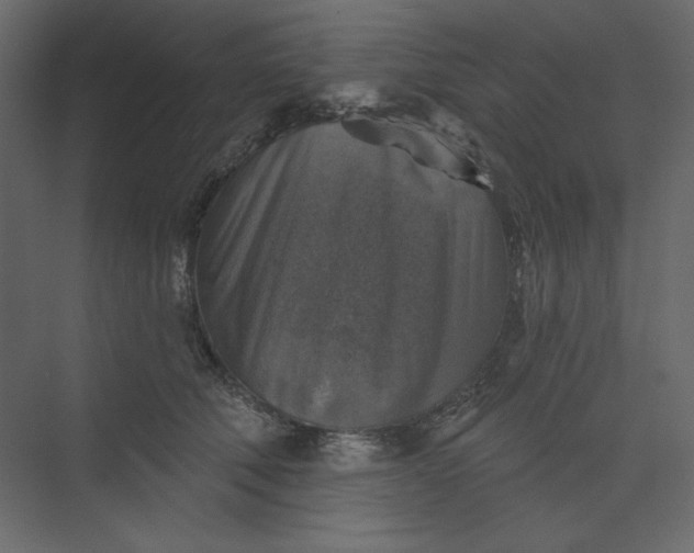 X0000073890610200608251433