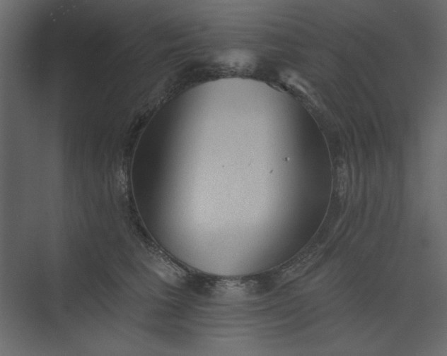 X0000073890613200608251433