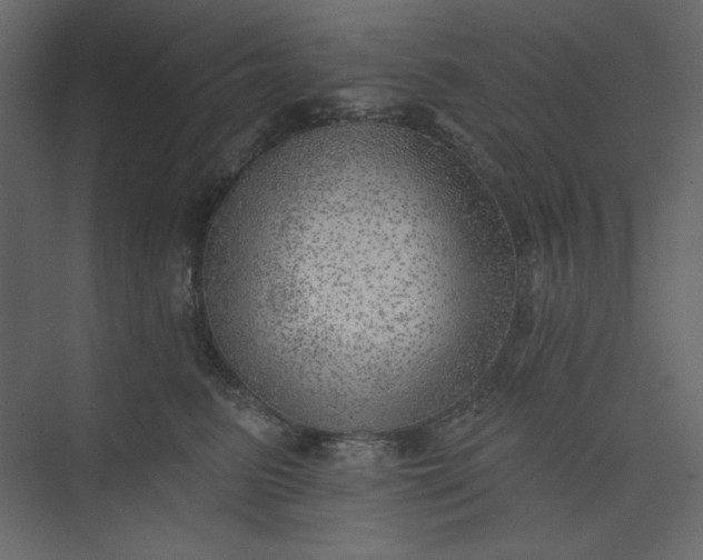 X0000073890615200608251433