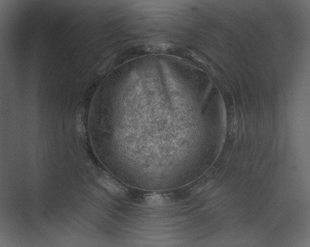 X0000073890616200608251433