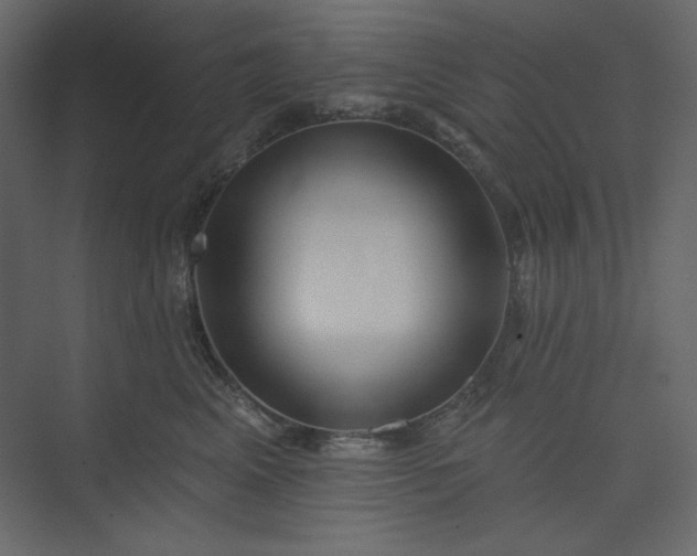 X0000073890617200608251433