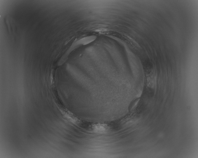 X0000073890618200608251433