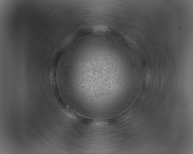 X0000073890619200608251433