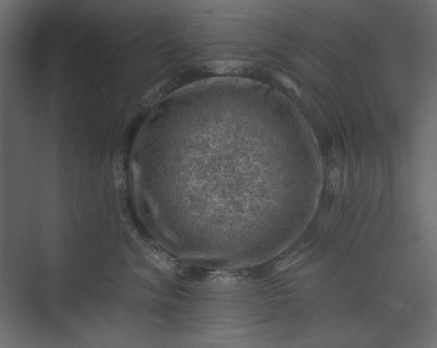 X0000073890620200608251433