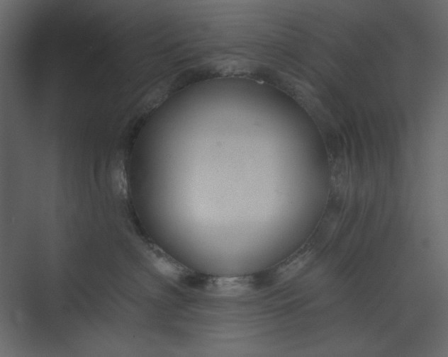 X0000073890622200608251433