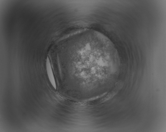 X0000073890624200608251433