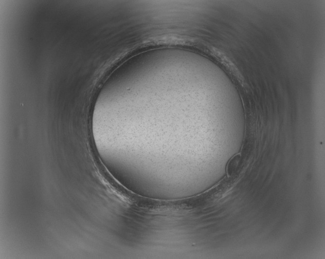 X0000073890625200608251432