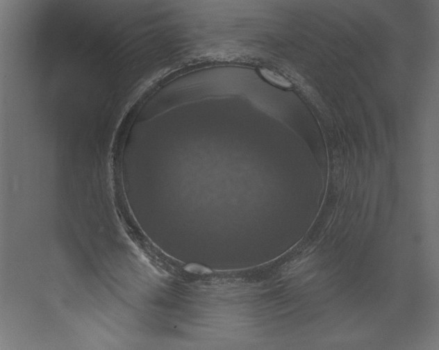 X0000073890626200608251432