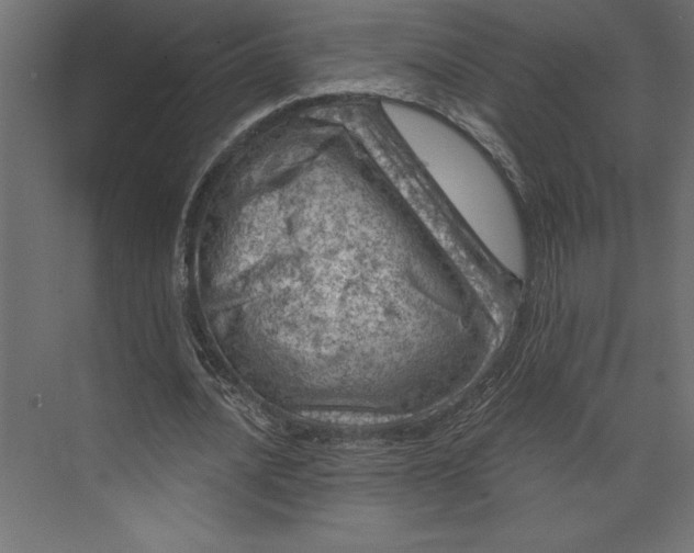 X0000073890628200608251432