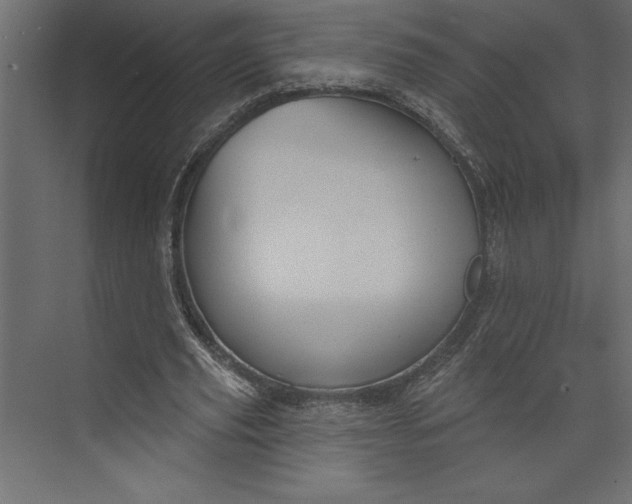 X0000073890629200608251432