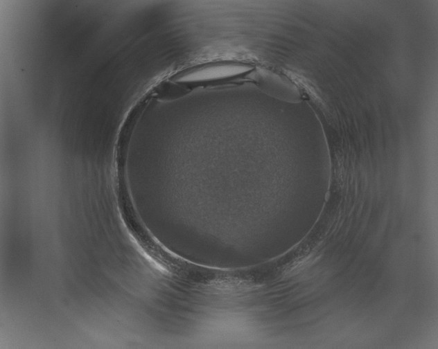 X0000073890630200608251432