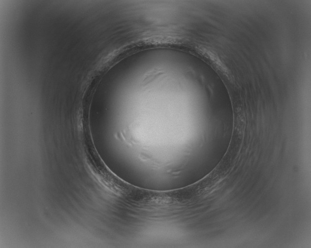 X0000073890631200608251432