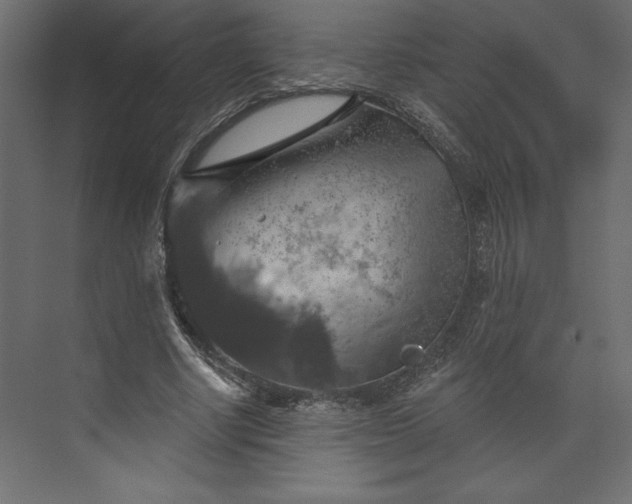 X0000073890634200608251432