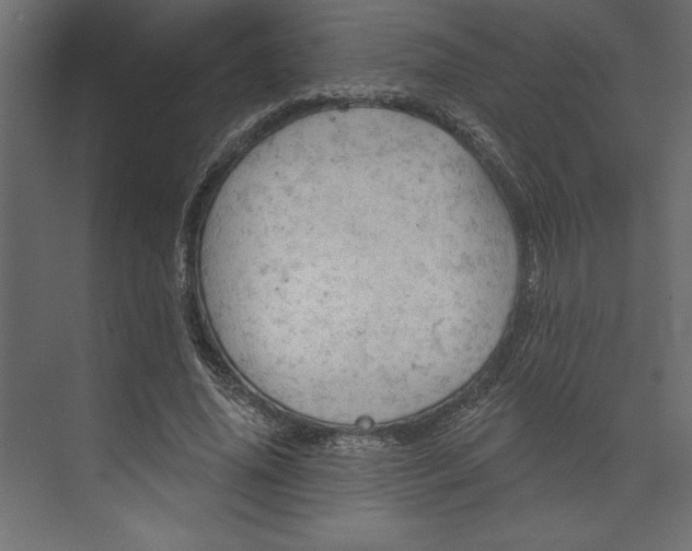 X0000073890636200608251432