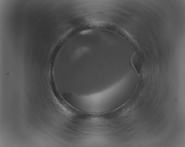 X0000073890637200608251432