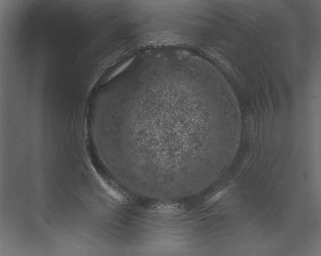 X0000073890638200608251432