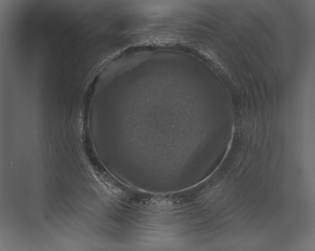 X0000073890640200608251432