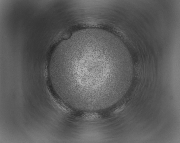 X0000073890642200608251432