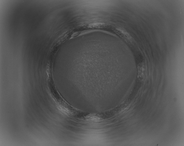 X0000073890648200608251432