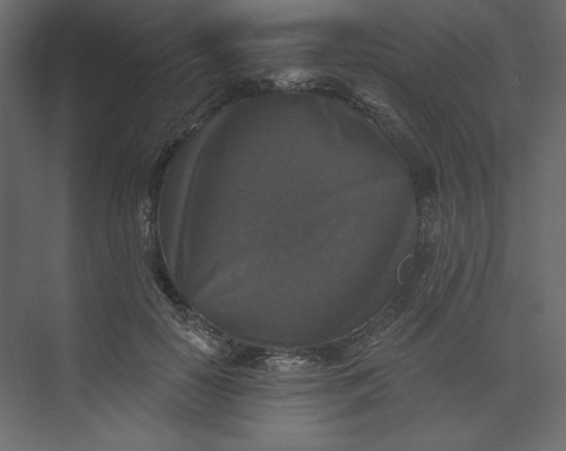 X0000073890650200608251432