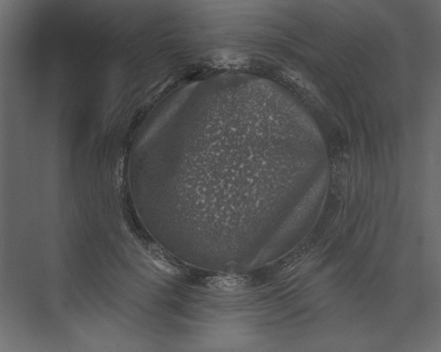 X0000073890652200608251432