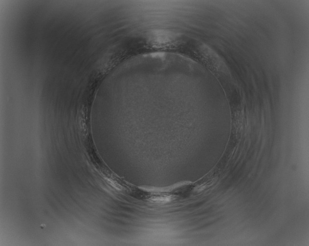 X0000073890653200608251432