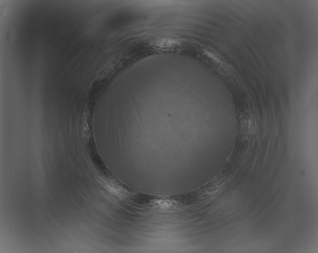 X0000073890654200608251432