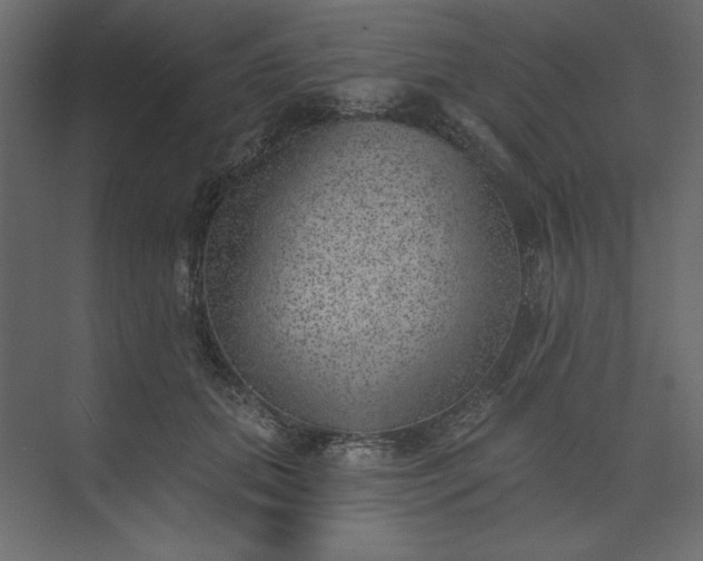 X0000073890655200608251432