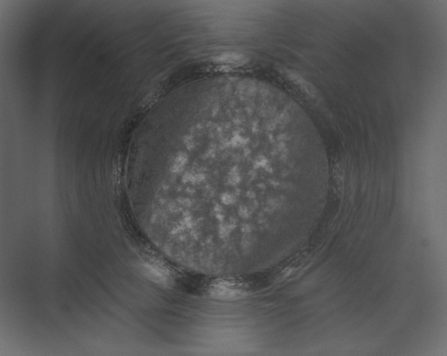 X0000073890657200608251432