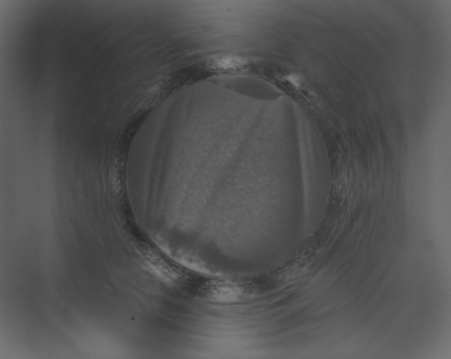 X0000073890658200608251432