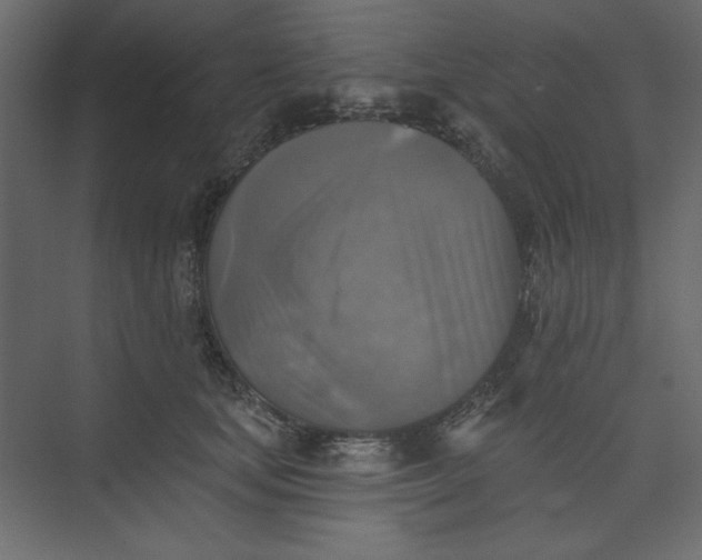 X0000073890659200608251433