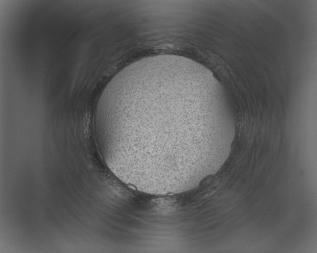 X0000073890660200608251433