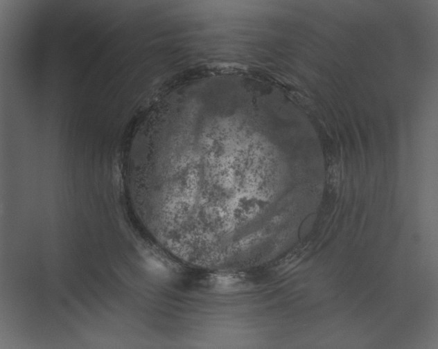 X0000073890662200608251433