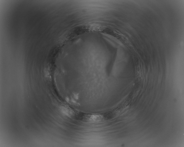 X0000073890663200608251433