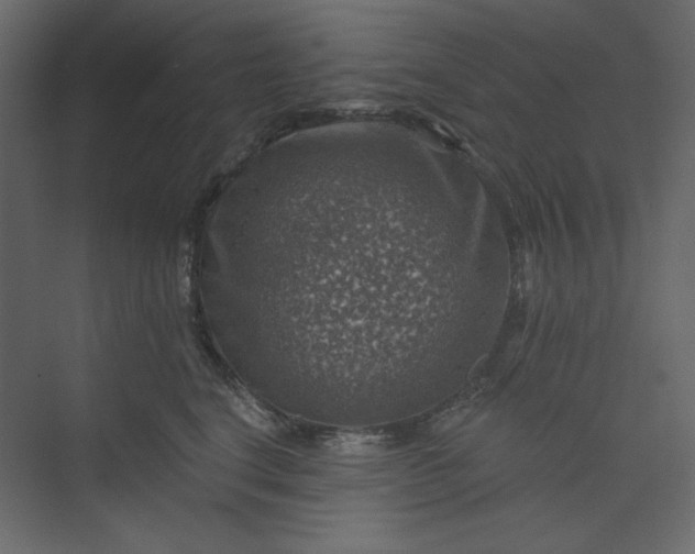 X0000073890664200608251433