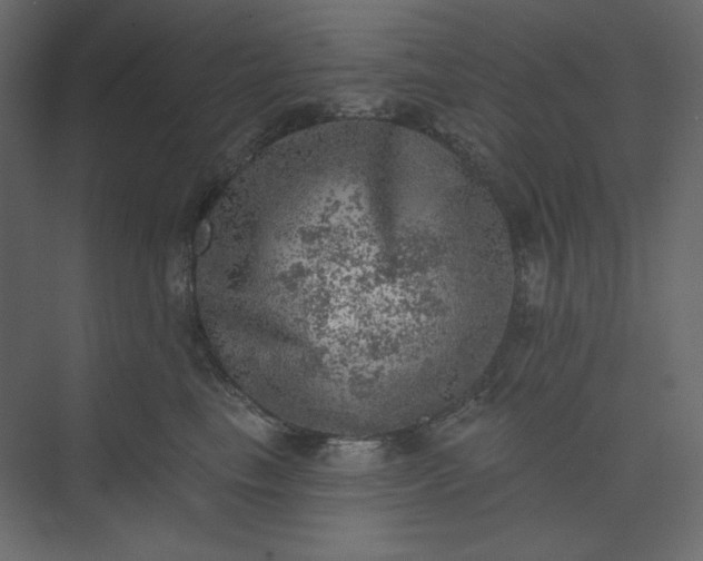 X0000073890665200608251433