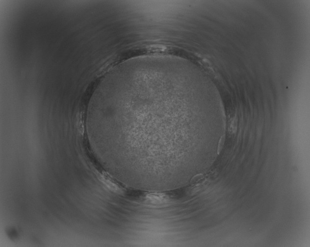 X0000073890666200608251433