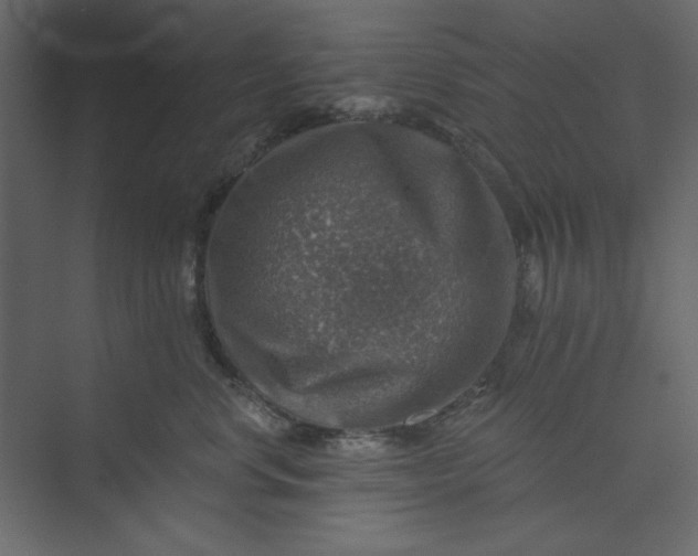 X0000073890668200608251433