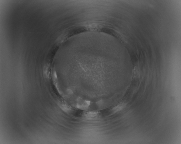 X0000073890671200608251433