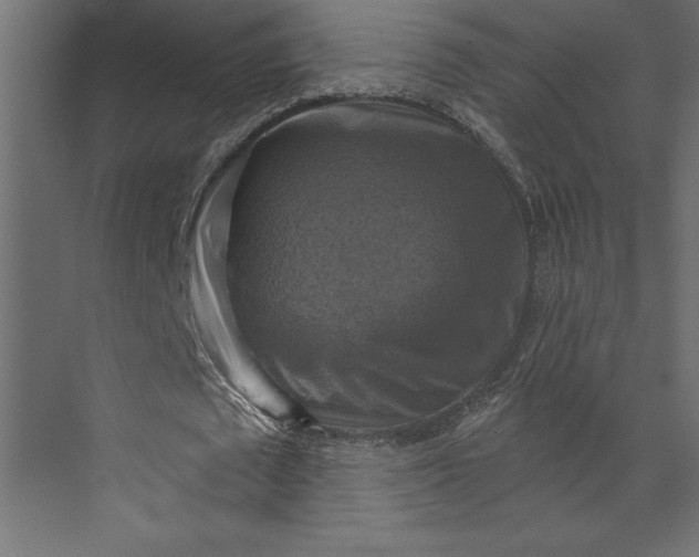 X0000073890673200608251432