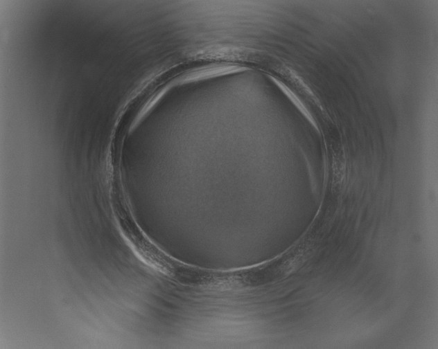 X0000073890674200608251432