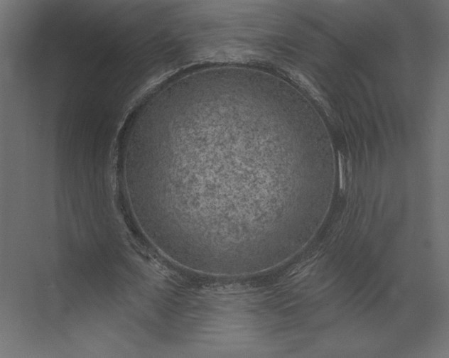 X0000073890675200608251432