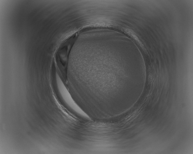 X0000073890677200608251432