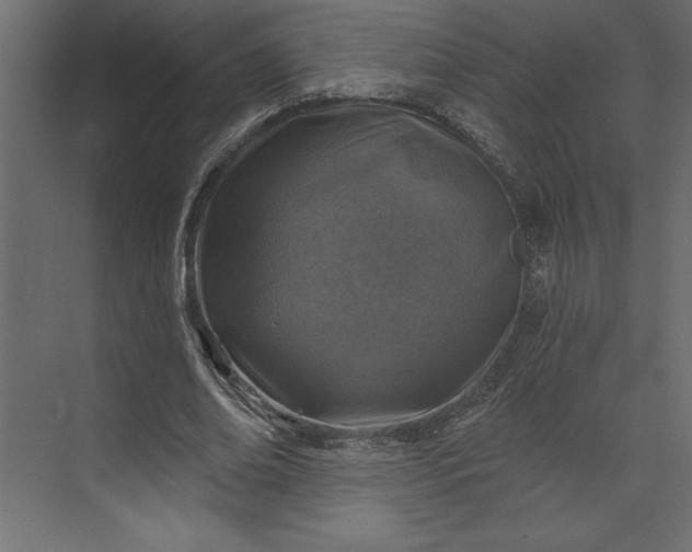 X0000073890678200608251432