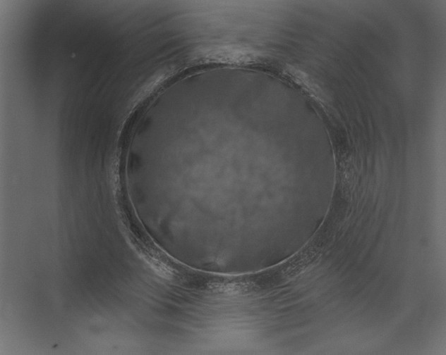 X0000073890679200608251432