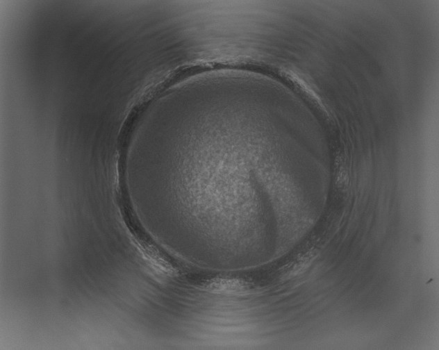 X0000073890685200608251432