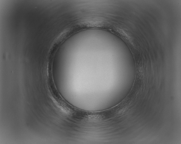 X0000073890686200608251432