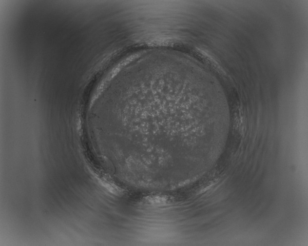 X0000073890687200608251432