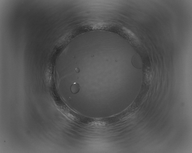 X0000073890691200608251432