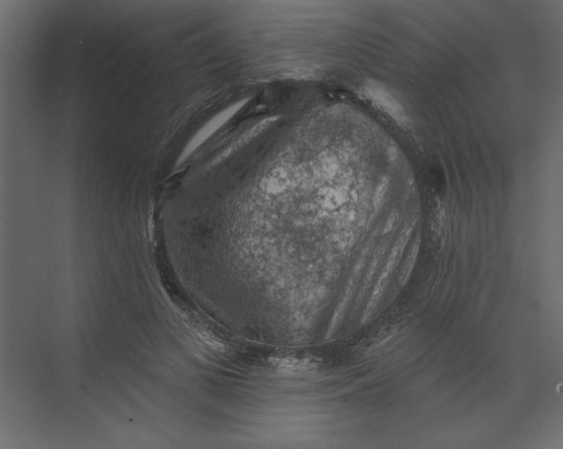 X0000073890693200608251432